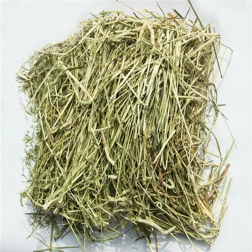 ALFALFA HAY - Image 4