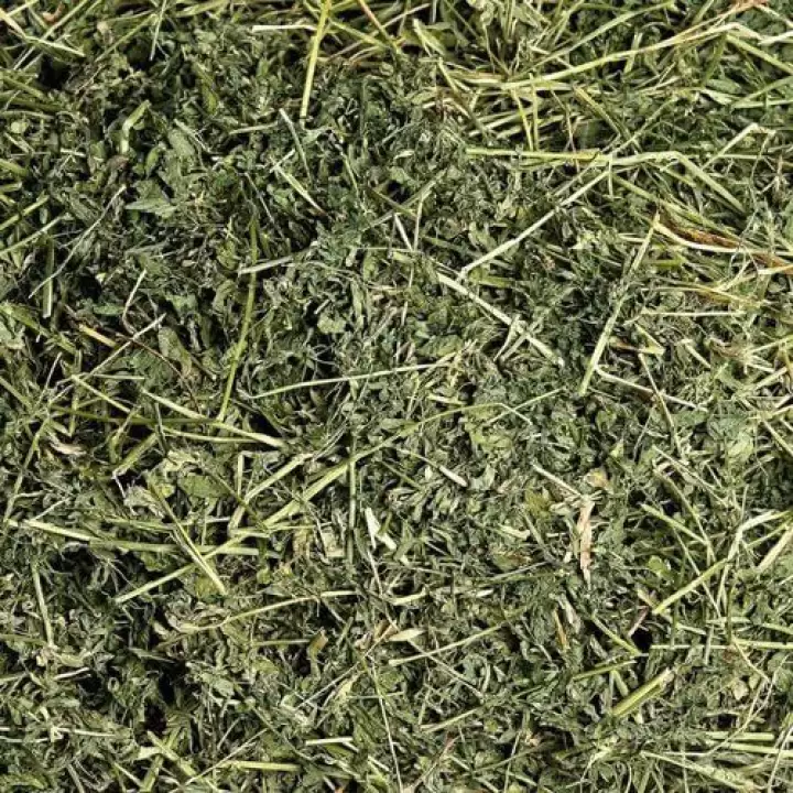 ALFALFA HAY - Image 3