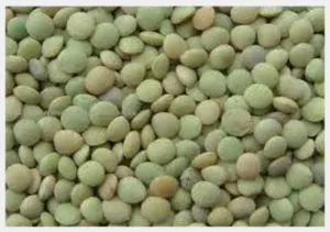 Lentils